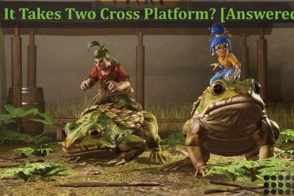 Is It Takes Two Game Cross Platform Answered